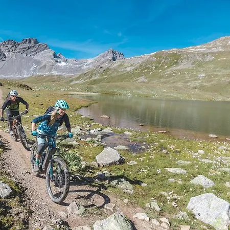 فندق Boutique-hotel Garni Bellevue Davos 3*