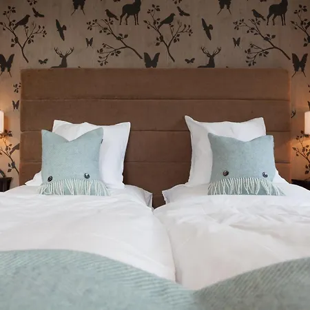 Boutique-hotel Garni Bellevue Davos 维森