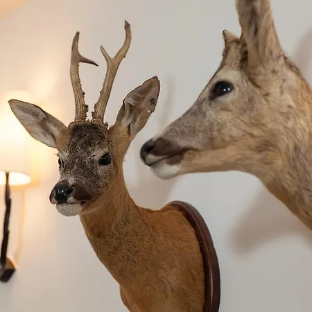 Boutique-hotel Garni Bellevue Davos 酒店 3*