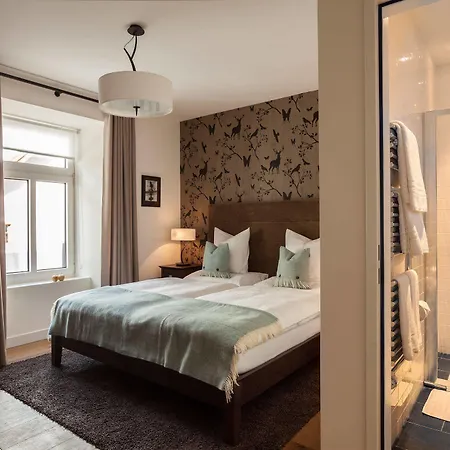 酒店 Boutique-hotel Garni Bellevue Davos 维森