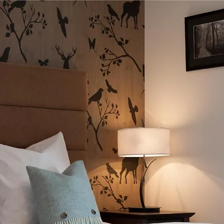 酒店 Boutique-hotel Garni Bellevue Davos