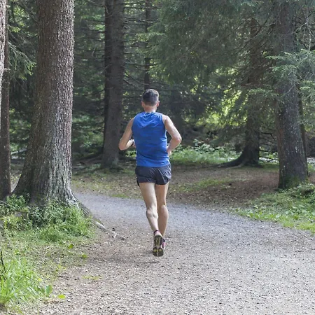 فندق Boutique-hotel Garni Bellevue Davos 3*