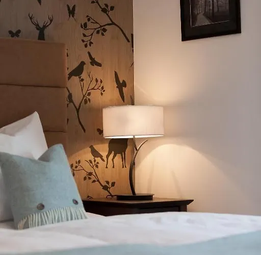 Boutique-hotel Garni Bellevue Davos Hotel