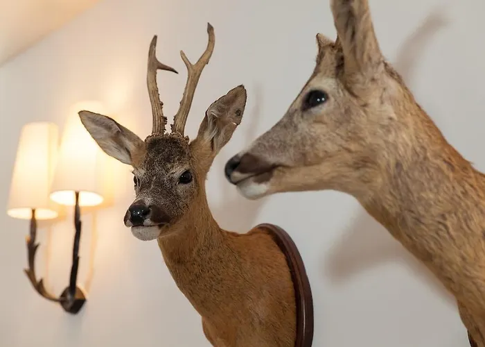 Boutique-hotel Garni Bellevue Davos Отель 3*