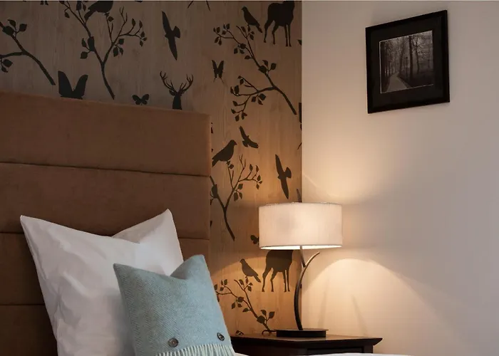 Отель Boutique-hotel Garni Bellevue Davos