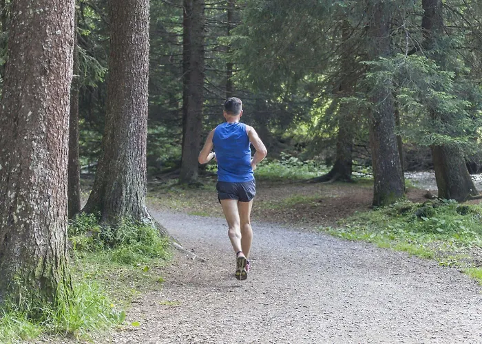 Отель Boutique-hotel Garni Bellevue Davos 3*