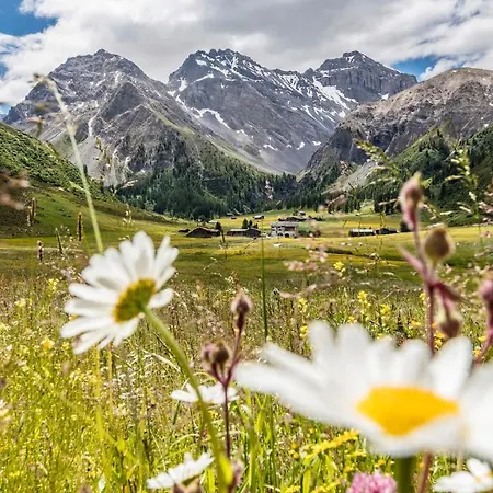 酒店 Boutique-hotel Garni Bellevue Davos 3*