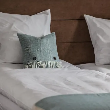 Boutique-hotel Garni Bellevue Davos 酒店 维森