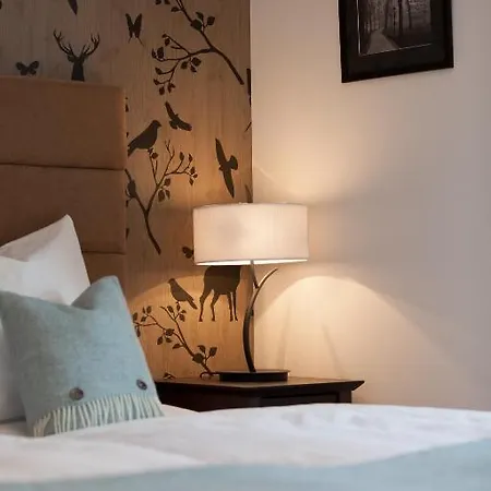 Boutique-hotel Garni Bellevue Davos 酒店