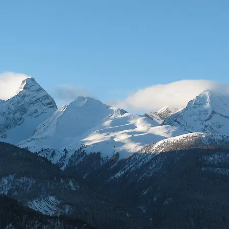 酒店 Boutique-hotel Garni Bellevue Davos 3*