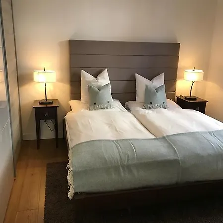 酒店 Boutique-hotel Garni Bellevue Davos 维森